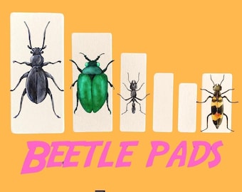10x Blocchi di carte da appuntare per insetti entomologia tassidermia coleottero