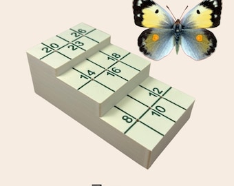 Entomología Herramienta de ajuste de altura para mariposas, escarabajos y polillas, bloque de fijación