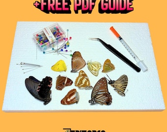 Kit de fotografía y arte de mariposas con guía completa de taxidermia, entomología y insectos.
