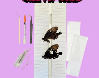 Kit de inicio de colección de mariposas MINI con guía completa, colección de entomología, taxidermia, insectos, bichos.