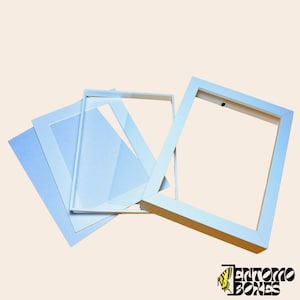 Marcos de cajas de sombra PROFUNDAS para exhibición de mariposas e insectos para taxidermia entomológica