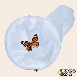 Cattura di farfalle e insetti con una rete fine entomologia