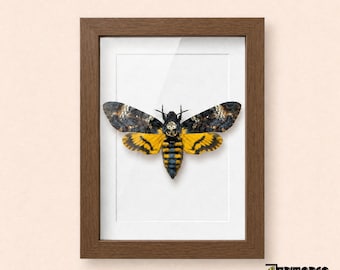 Death's Head Hawkmoth Frame, Acherontia atropos, Real Moth, Gothic Horror Decor