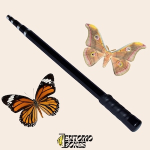 Varilla telescópica extensible para red de mariposas
