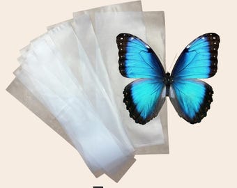 Tiras de papel de aluminio para fijar mariposas y polillas, ideales para la extensión de alas en entomología y taxidermia.