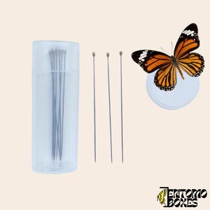 Professional Stainless Steel Insect Pins for Entomology, Butterflies, Moths, Beetles (39mm)