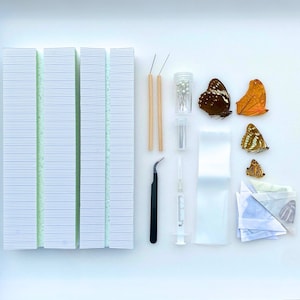 Startset vlindercollectie met complete gids, entomologiecollectie taxidermie gratis verzending