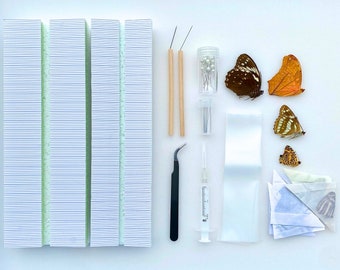 Butterfly collection starting kit with complete guide, entomology collection taxidermy  free shipping