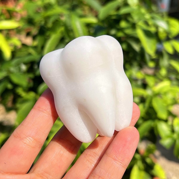 Natural White Jade Tooth Carving,Quartz Crystal Tooth,Mineral specimens,Home Decoration,Reiki Healing,Crystal Energy Gifts