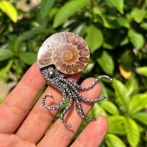 Conque fossile ammonite naturelle rare de 2,5 pouces, mini fossile en cristal de quartz, spécimen fossile, cadeaux en cristal, soin Reiki, de Madagascar, soin du cristal