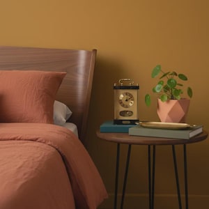 May include: A round wooden side table with black metal hairpin legs, featuring a rectangular mantel clock with a gold face, a green book, a gold-toned tray, and a potted Pilea peperomioides plant in a geometric peach-colored ceramic planter.