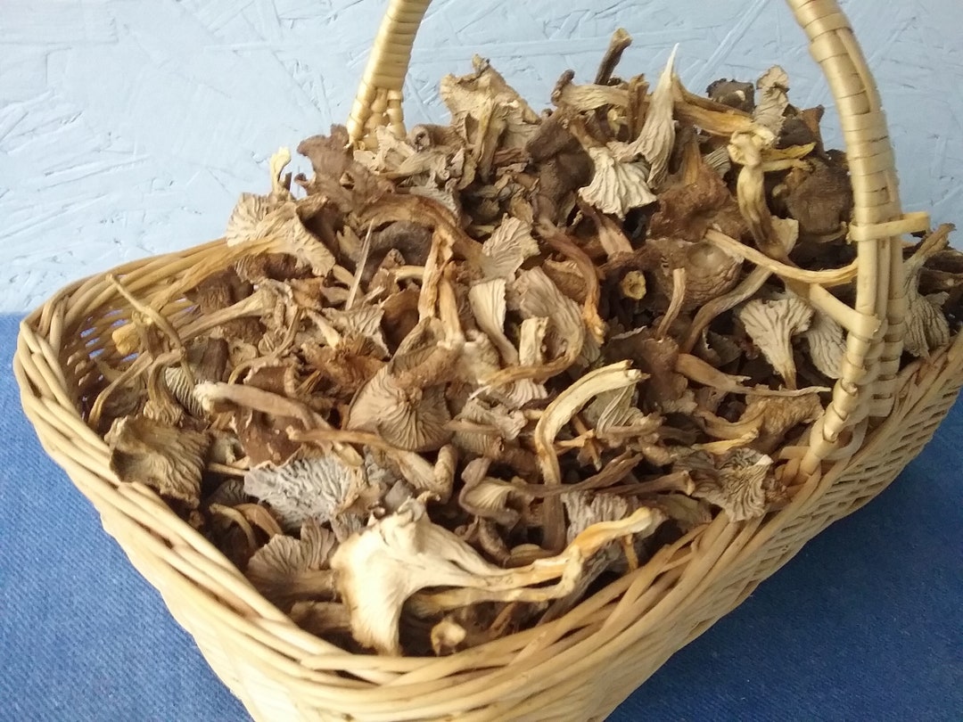 150 Grams of Dried Chanterelles, Cantharellus Tubaeformis