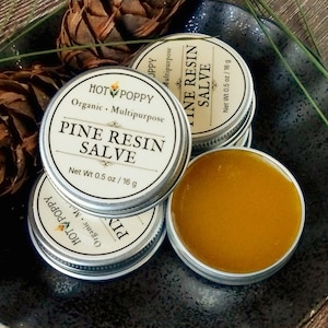 Organic Pine Resin Salve | Botanical Skin Drawing Salve
