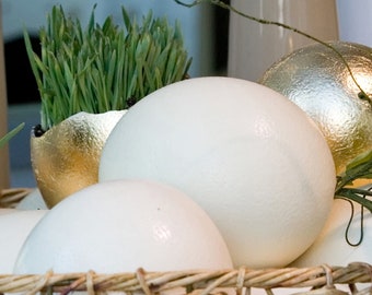 Straußenei 1 Stück echt Osterei Eier Ostern Osterdeko ausgeblasene Eier