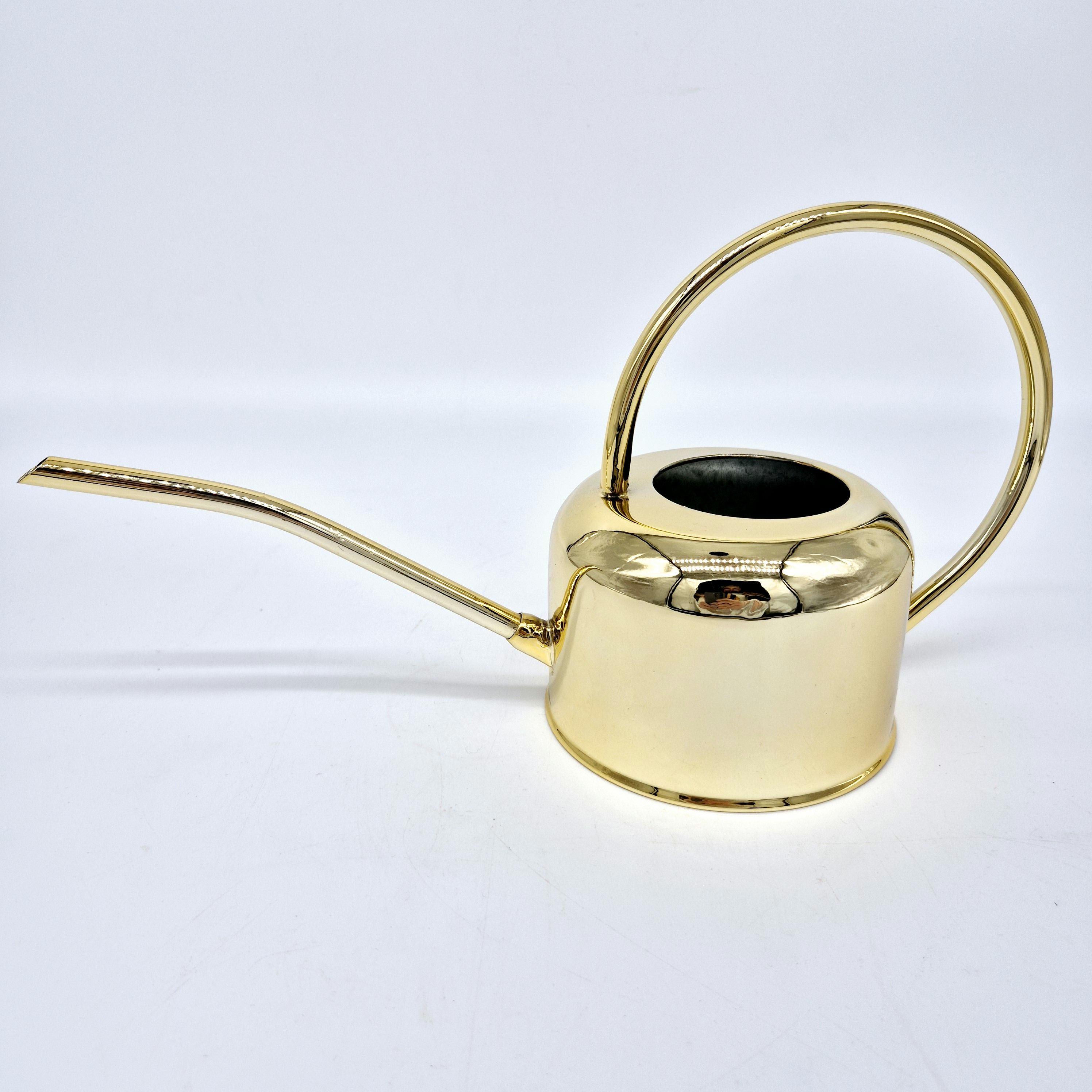 Gießkanne mit langem Hals Wasserkanne Blumenkanne Metallgießkanne Blumepflege Grünpflanzen gießen schick und schlicht