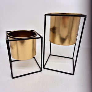 Könnte beinhalten: Zwei schwarze Metall-Pflanzenständer mit goldenen Metalltöpfen. Die Ständer sind quadratisch und haben ein schlichtes Design. Die Töpfe sind zylindrisch und haben eine glatte, glänzende Oberfläche.