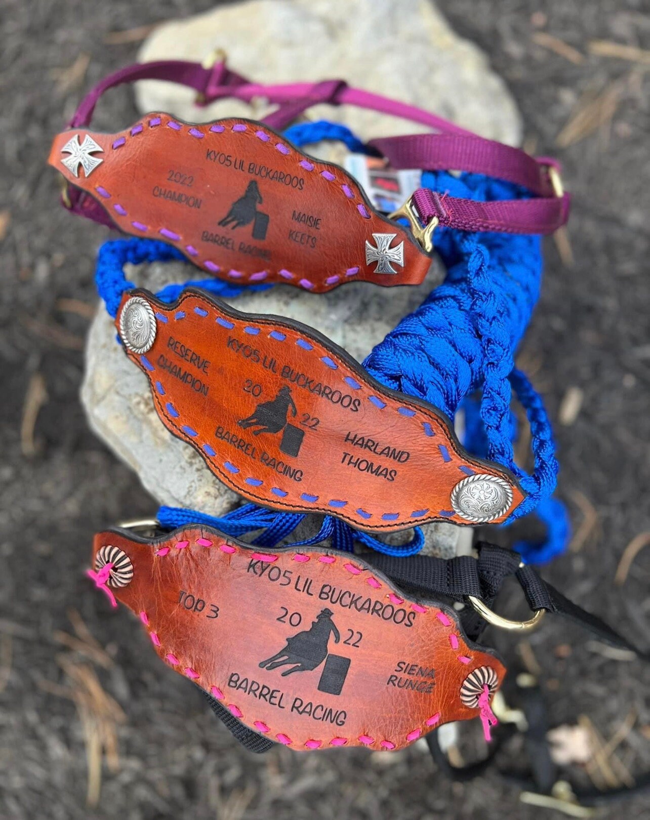 Custom Tooled Leather Nosebands/ Rope Halters/ Bronc Halters/ Regular