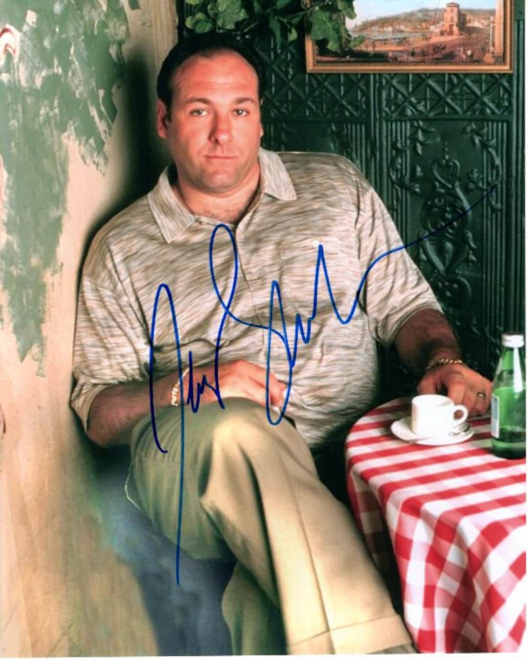 James Gandolfini Signed Autographed 8x10 the Sopranos Tony Etsy