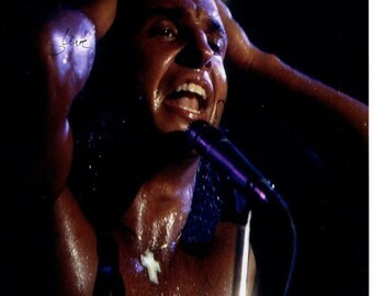 Steve walsh signed autographed kansas photo