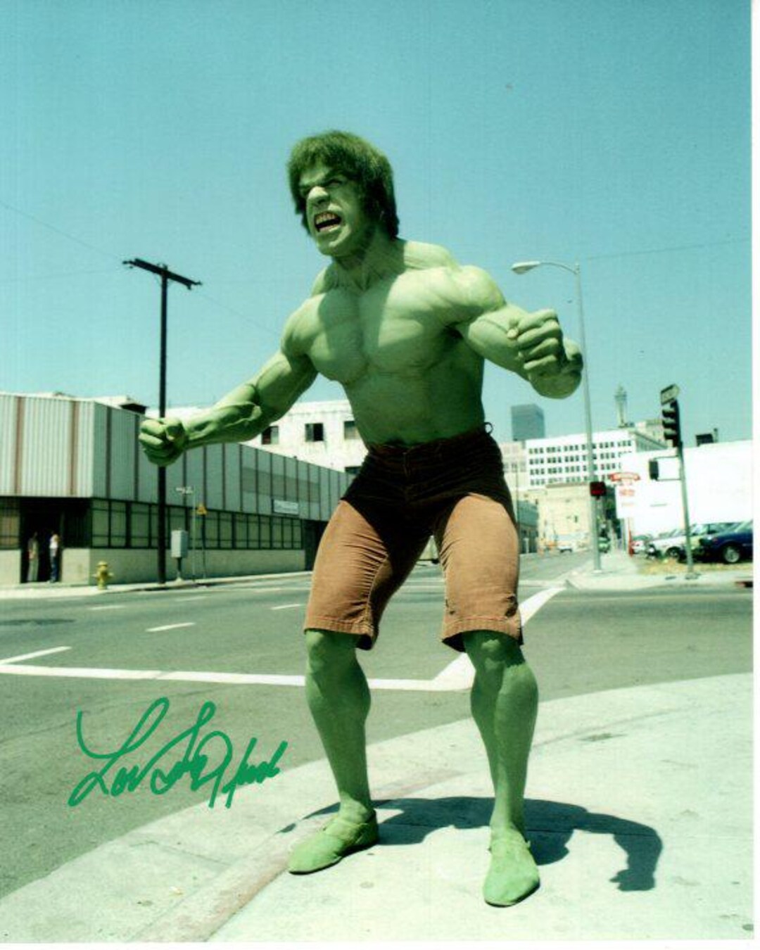 Lou Ferrigno Signed Autographed 8x10 the Incredible Hulk Photo - Etsy