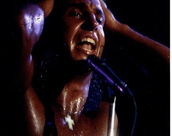 Steve walsh signed autographed kansas photo