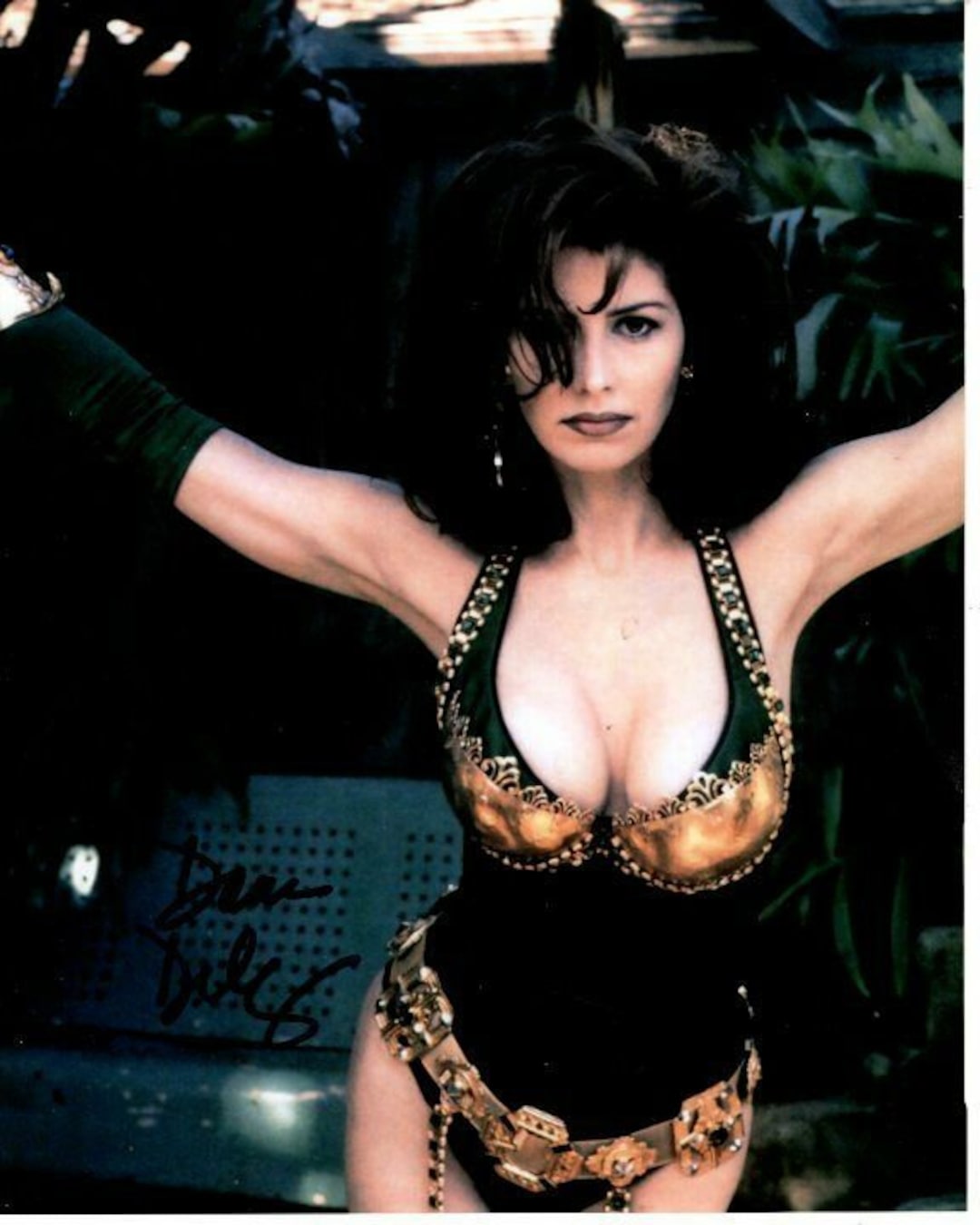 Dana Delany Signed Autographed Sexy Lingerie Photo - Etsy