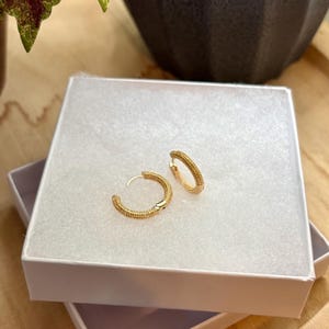 Gold Textured Hoop Earrings | Gold Plated Stud Earrings | Earrings | Nickel Free Jewelry | Earrings