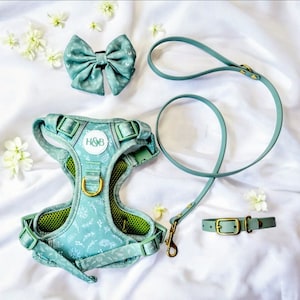 Adjustable Dog Harness - Sage Green, Ideal for Puppy to Large Breeds, No pull
