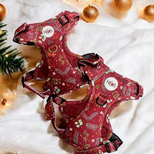 Mulberry Dog Harness: Adjustable No-Pull Step-In Design