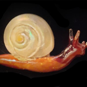 Enamel and Real Shell Snail Pin Vintage Free Ship