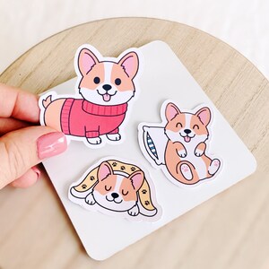 My Three Corgs