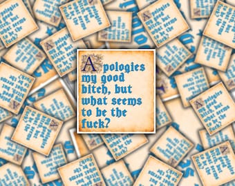 Excuses My Good Bitch Sticker | Grappige vulgaire vinylsticker | Sarcastisch humorcadeau | Laptopwaterfles
