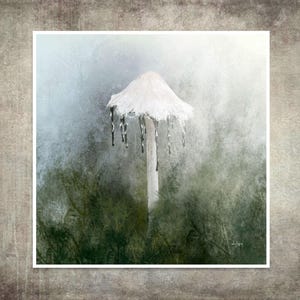 Shaggy Inkcap Wild Mushroom Fine Art Print: Signed Forest Nature Art