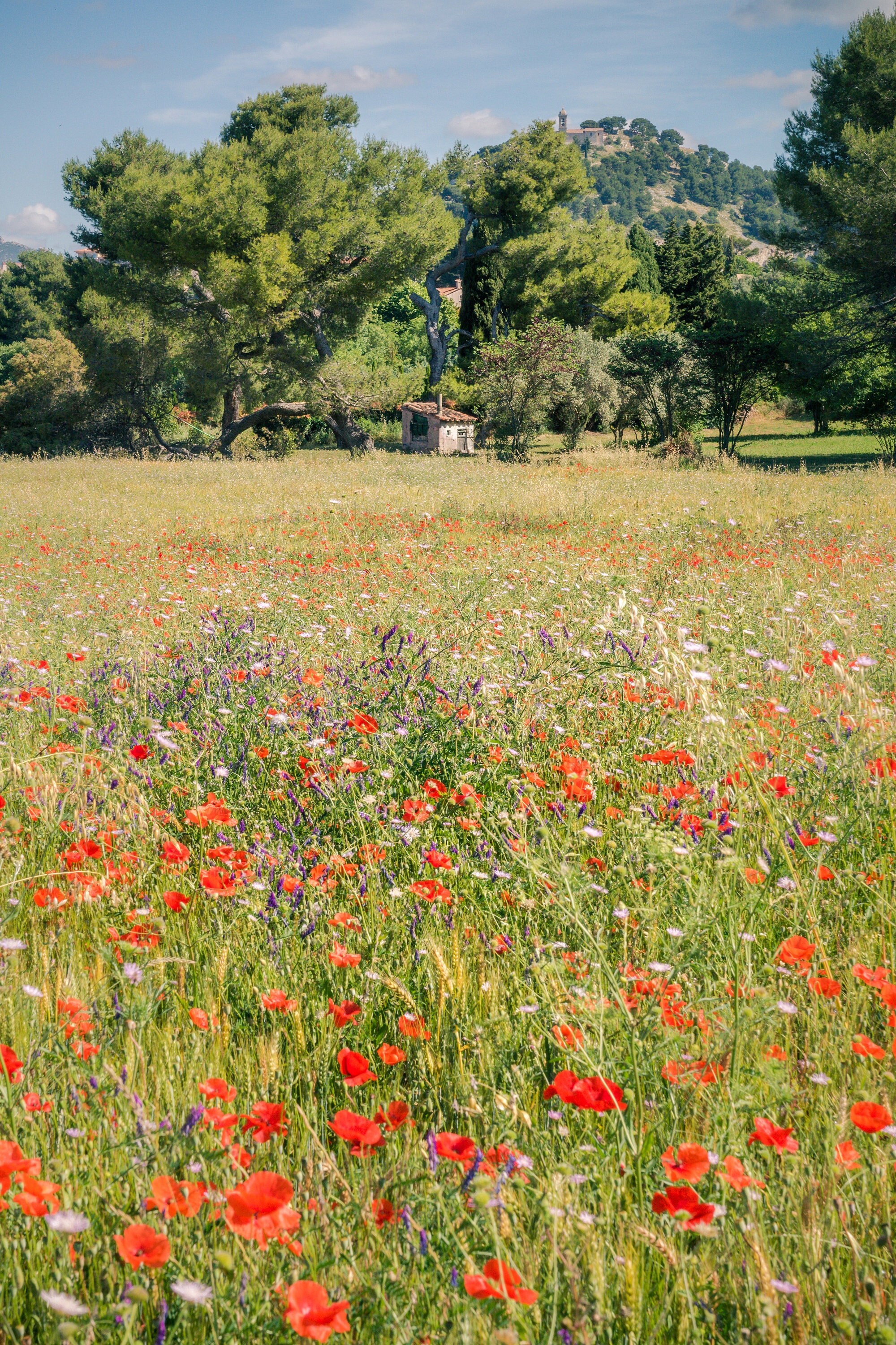 A Travers Champs, Allauch, 2021