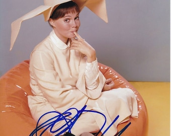 サリー・フィールド直筆サイン入り写真…Sally Field…ノーマ・レイ… Yahoo!オークション - 未使用 サリー・フィールド 直筆サイン
