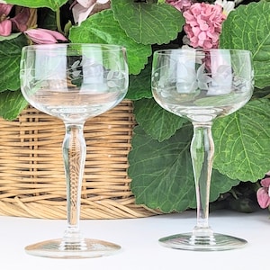 Set mit 2 geätzten Glas Floral Vine Cordial Cocktailgläser | Vintage Party Aperitif Likörgläser Blumen | 3 Unzen Vintage Brille