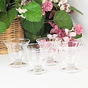 Set mit 4 geätzten Glas Floral Vine Oyster Cocktailgläser | Vintage Party Aperitif Likörgläser Blumen | 2 Unzen Vintage Brille