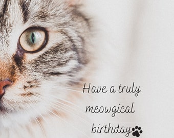 Happy Birthday Card | Happy Birthday Animated Card | Happy Birthday | Digital Birthday | Cat | Tubby | Birthday Wishes | Paperless