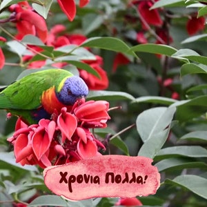 Greek Hronia Polla Digital Card | Happy Name Day Digital Card | Greek Digital Card | Instant Download Greek Name Day Card | Greek eCard