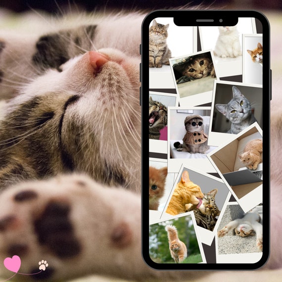 Cute Cats Phone Wallpaper | Paperless Cat Lover Gift (Digital Download)