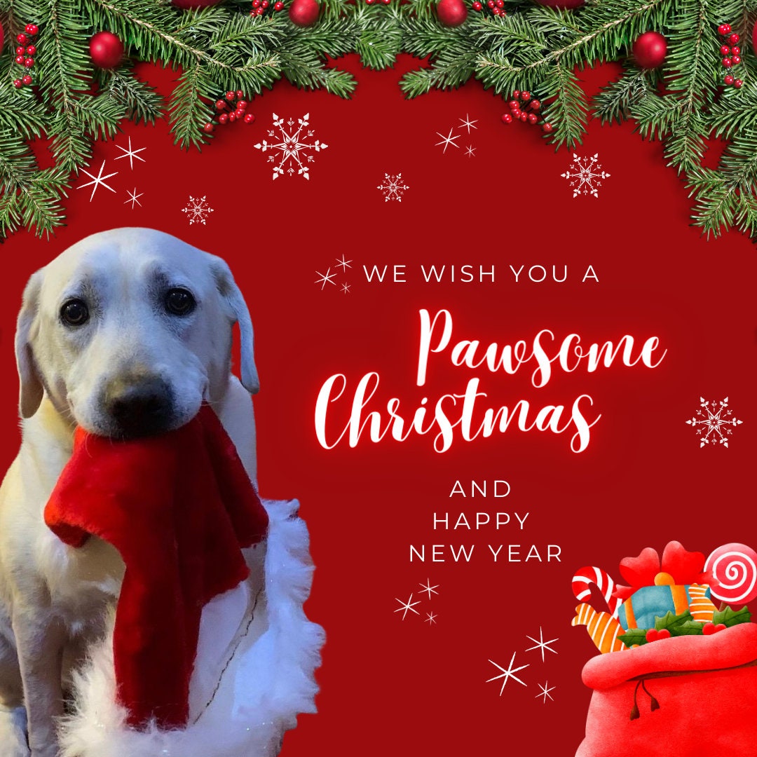 Merry Christmas Digital Card Merry Christmas Animated Christmas Card