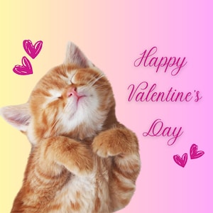 Digitale Valentijnsdagkaart | Valentijnsdagkaart | Geanimeerde Valentijnsdagkaart | Digitale Valentijnsdagkaart | Afvalvrij