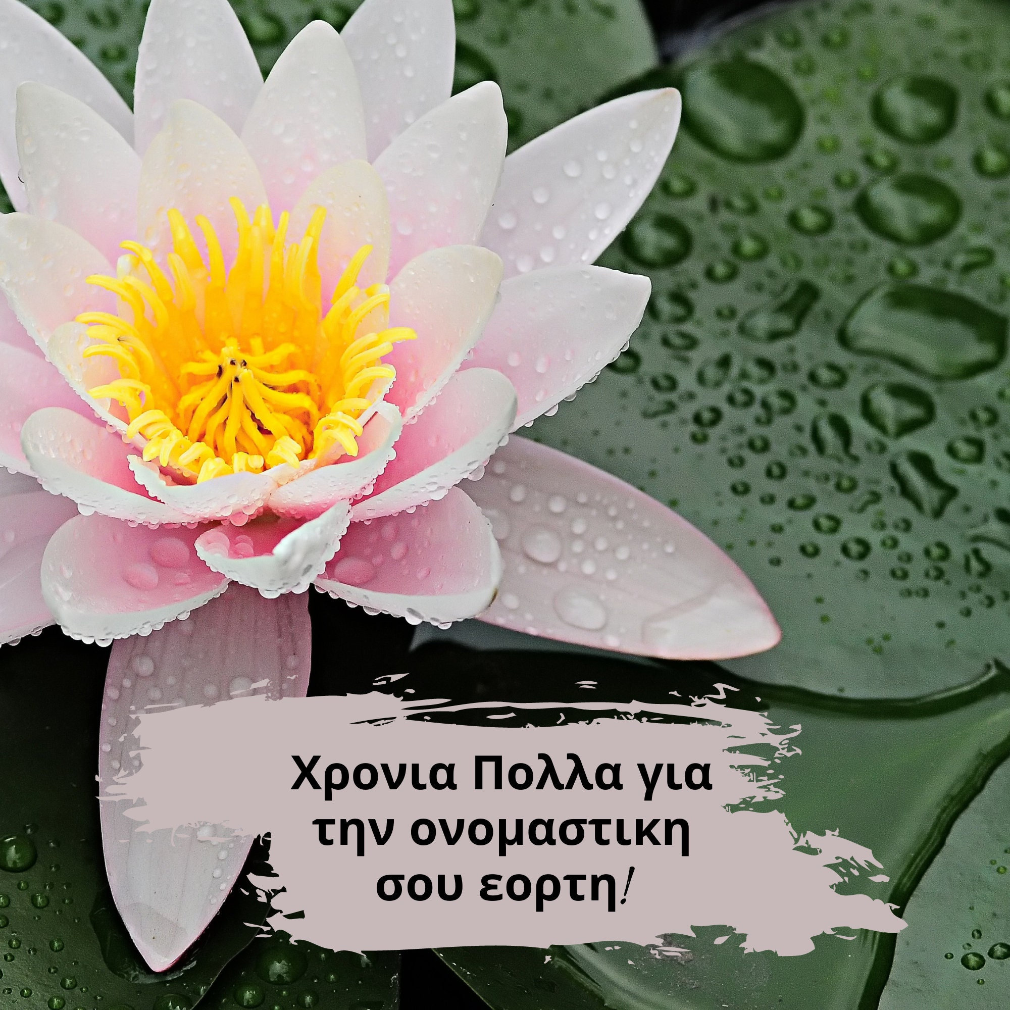 Greek Hronia Polla Digital Card Happy Name Day Digital Card Greek Digital Card Χρόνια Πολλά