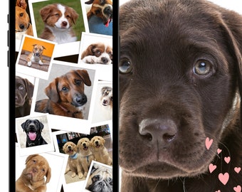 Dogs Phone Wallpaper | Dog Lovers | Phone Wallpaper | Waste Free | Paperless |