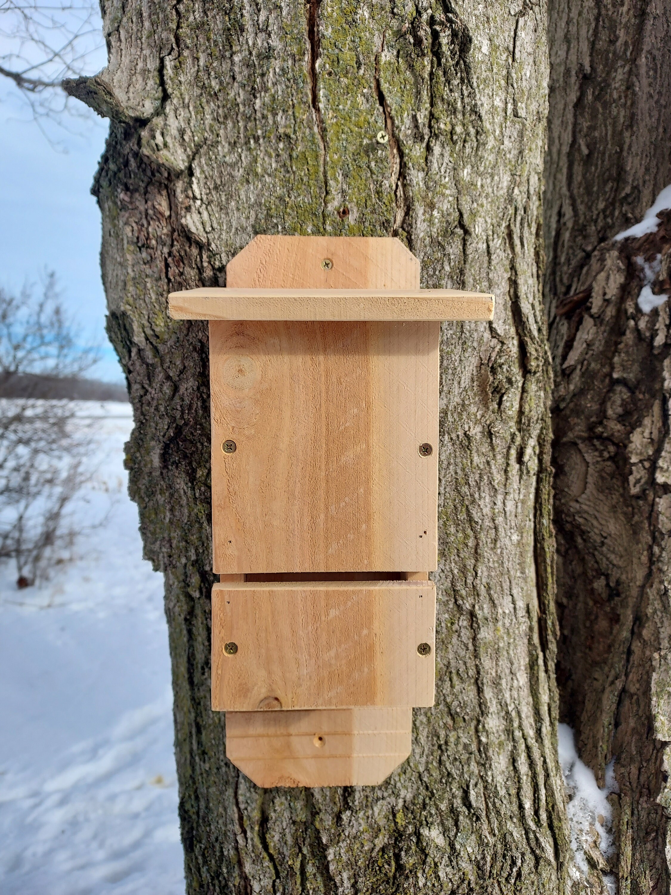 Bat House-Cedar Dual Chamber-Handmad