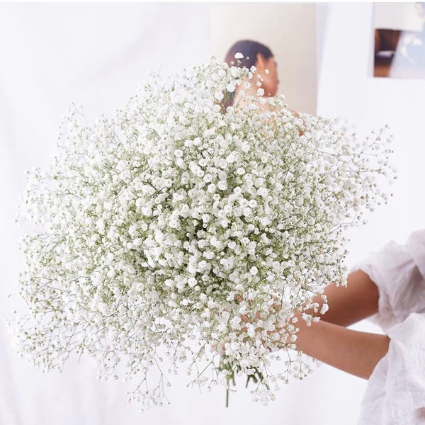 Gypsophila, dried flowers, large bunch, bouquet, home decoration, gift for women, living room decoration, table decoration, Mother's Day, spring, wedding decoration,
