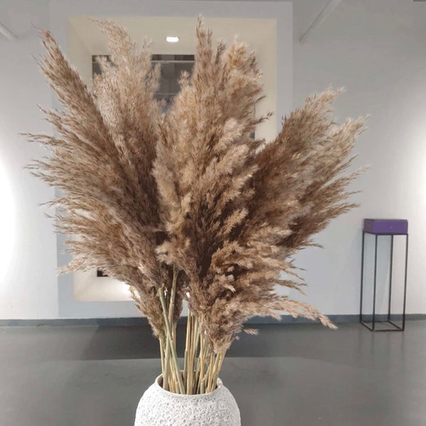 Pampas grass 15 pieces up to 120 cm giant fronds fluffy brown colors deluxe, home decor, dried flowers, Mother's Day, spring, table decoration, wedding decoration