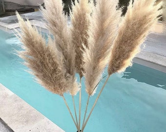 Pampas grass XXL 10 pieces up to 120 cm giant fronds fluffy natural colors cream deluxe, home decoration, wedding decoration, spring, table decoration, Mother's Day bouquet