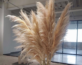 Pampas Grass XXL 10 pieces | 120 cm | TALL PAMPAS GRASS | Big sale | Boho home decor | Wedding flower decorations | Pampas bouquet | Boho wedding