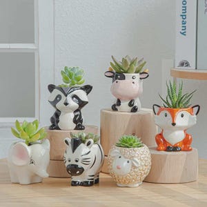 May include: A collection of six ceramic animal-shaped planters, including an elephant, raccoon, cow, zebra, sheep, and fox. Each planter features a unique animal design and holds a small green succulent plant, displayed on various wooden blocks.